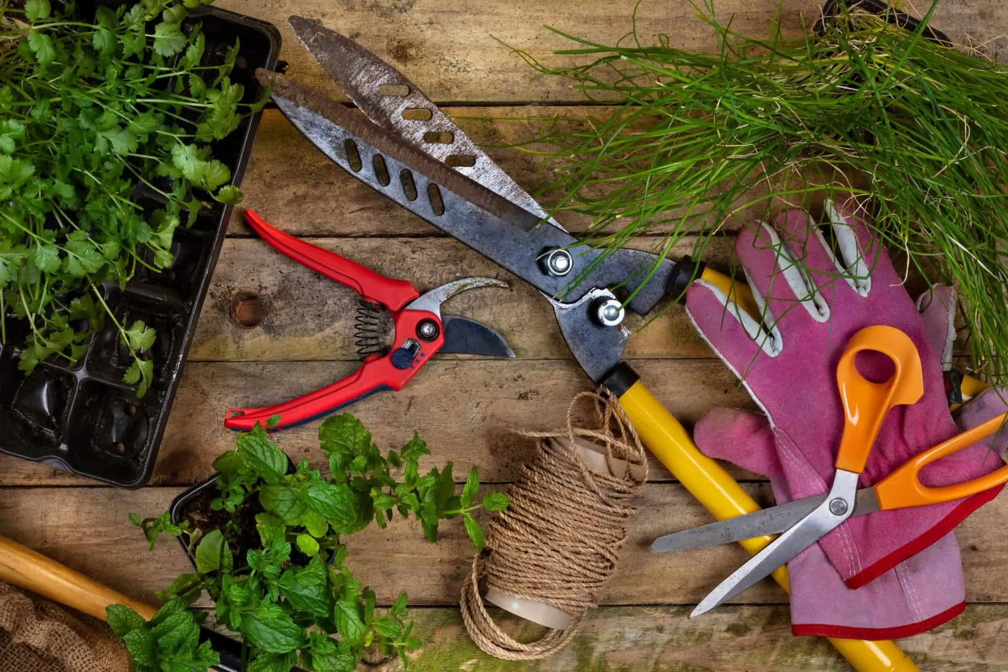 How to Choose the Right Gardening Tools for Your Needs