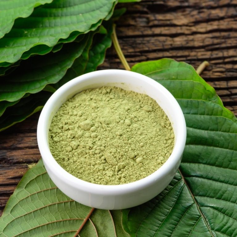 In the Heart of Nature: Red Kratom’s Healing Embrace