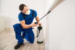 Comprehensive Pest Control Packages in Castle Hill